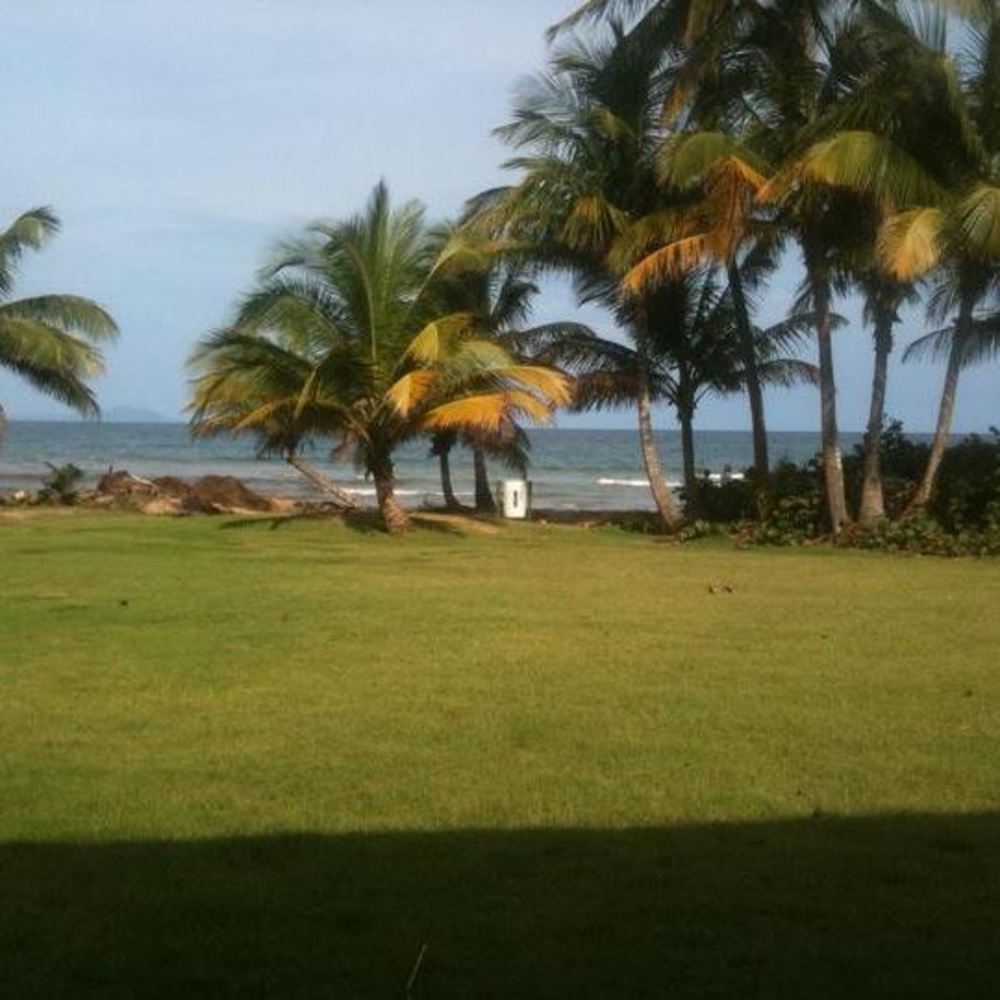 Meet your Posher, Linette